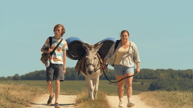 Super-bourrés streaming gratuit Super-bourrés streaming gratuit
