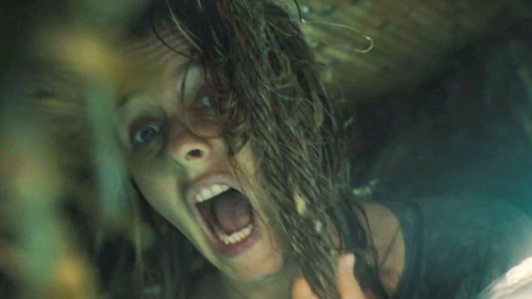 The Requin streaming gratuit The Requin streaming gratuit