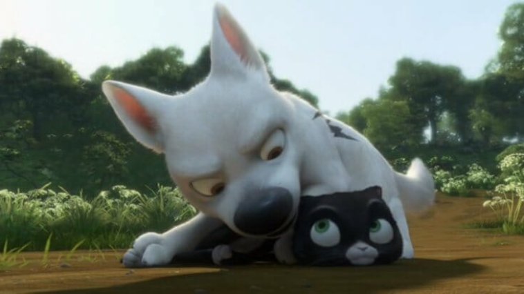 Volt, star malgré lui streaming gratuit Volt, star malgré lui streaming gratuit