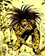 Cheetah