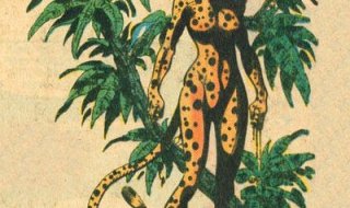 Cheetah