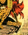 Cheetah