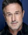 David Arquette