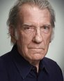 David Warner