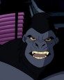 Gorilla Grodd
