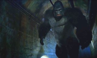 Gorilla Grodd