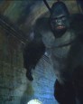Gorilla Grodd