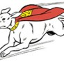 Krypto