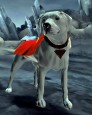Krypto