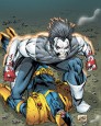 Lobo