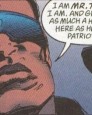 Mr. Terrific