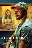 Fiche du film A beautiful life