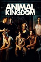 Affiche Animal kingdom