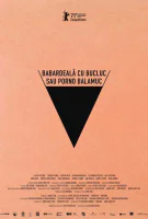 Affiche Bad Luck Banging or Loony Porn