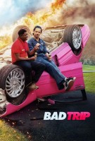 Affiche Bad Trip