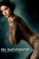 Fiche du film Blindspot