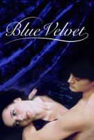 Fiche du film Blue Velvet