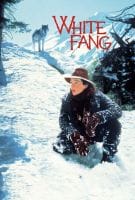 Fiche du film Croc-Blanc