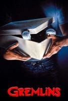 Fiche du film Gremlins