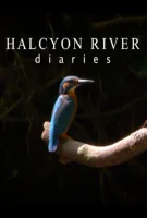 Fiche du film Halcyon