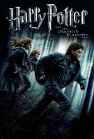 Fiche du film Harry Potter et les Reliques de la Mort - 1ère Partie