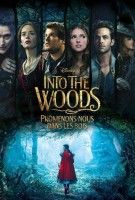 Fiche du film Into the Woods : Promenons-nous dans les bois