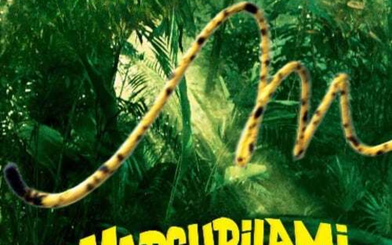Le Marsupilami streaming gratuit Le Marsupilami streaming gratuit