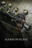 Affiche Le Secret des Marrowbone