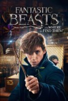 Fiche du film Les Animaux Fantastiques