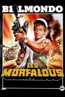 Affiche Les Morfalous