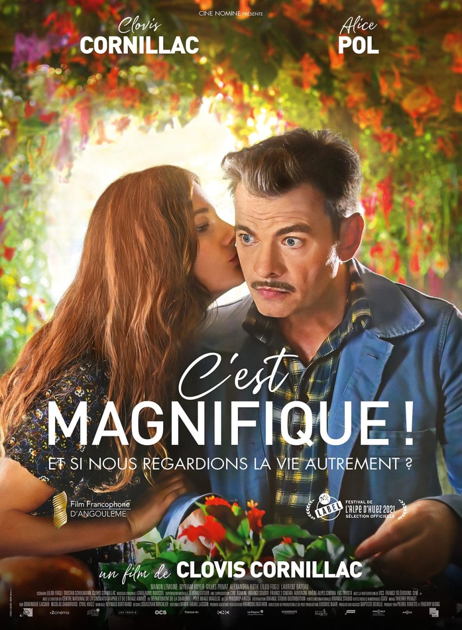 Fiche du film C'est magnifique !