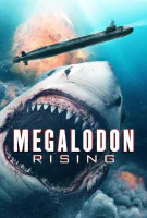 Affiche Meg Rising