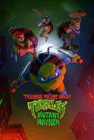 Fiche du film Ninja Turtles Teenage Years