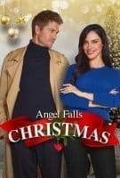 Fiche du film Noël sous son aile