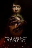 Fiche du film Samhain