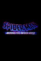 Fiche du film Spider-Man : Beyond the Spider-Verse