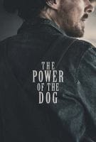 Fiche du film Le Pouvoir du chien