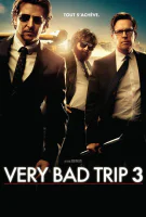 Affiche Very Bad Trip 3