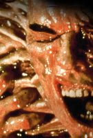 Amityville 1993 : Votre heure a sonné
