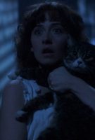 Amityville : La Malédiction