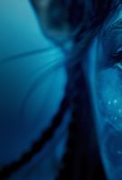 Avatar 2 : la voie de l’eau