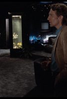 Body Double