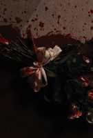 Carrie, la vengeance