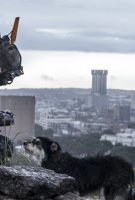 Chappie