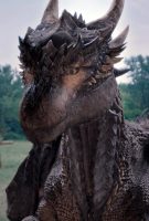 Dragonheart : La Bataille du cœur de feu
