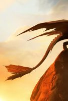 Dragons