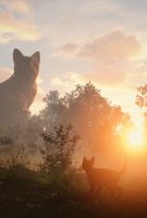 Flow, le chat qui n’avait plus peur de l’eau