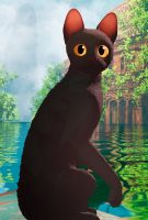Flow, le chat qui n’avait plus peur de l’eau