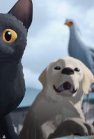 Flow, le chat qui n’avait plus peur de l’eau