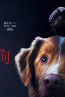 Good Boy